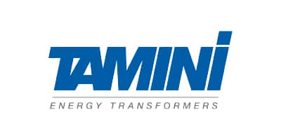 tamini-energy-transformers